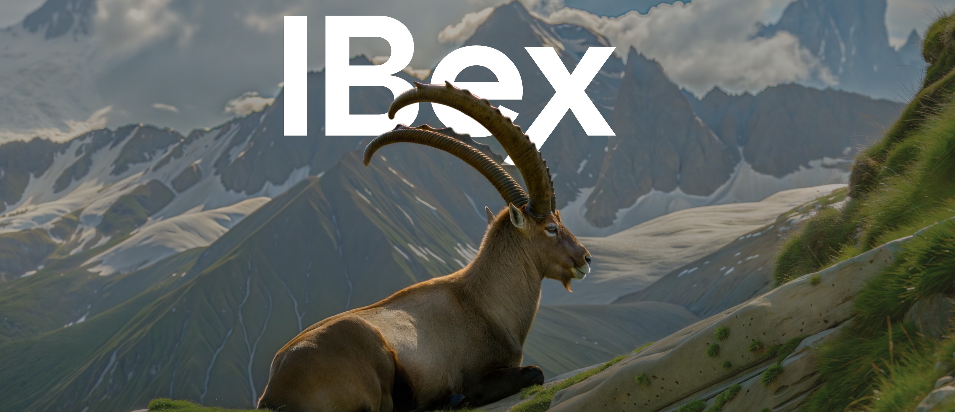 picture of the ibex goat in the cenrre , mountains view on the. background