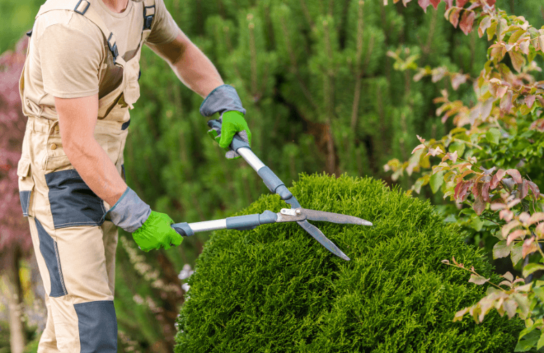 Gartenpflege Remscheid