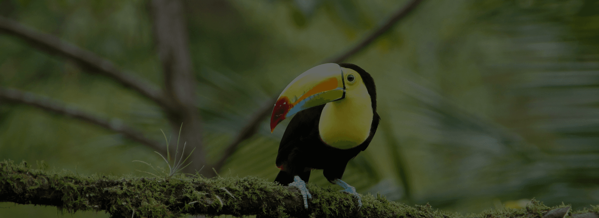 Real Estate House Image Background