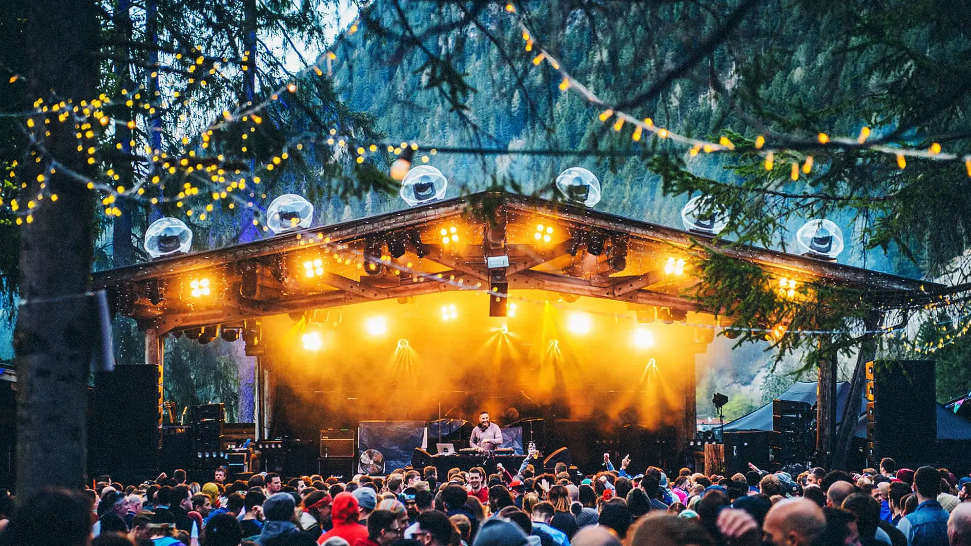SB forest stage