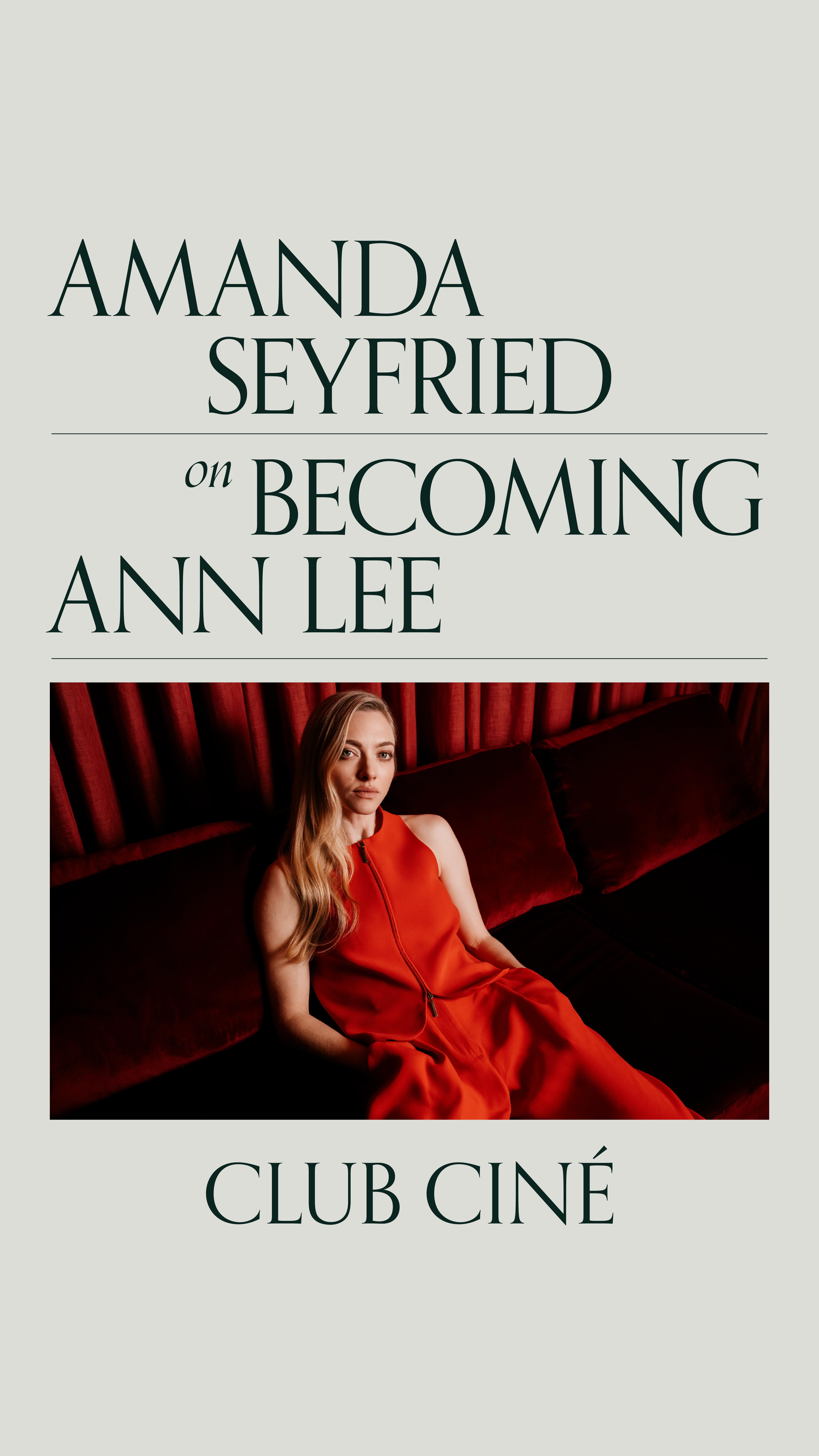 Close-up of bride and groom's torsos, bride in white dress