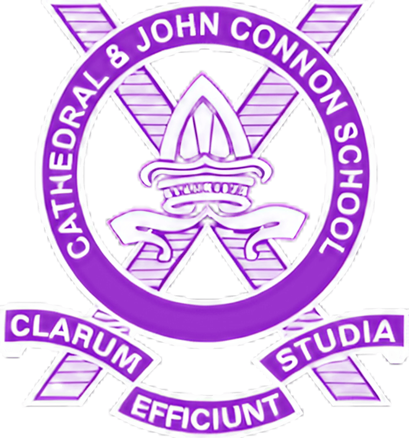 The Cathedral and John Connon School logo – high schoolers from Cathedral and John Connon have participated in the RISE Research program, a leading summer research opportunity for students