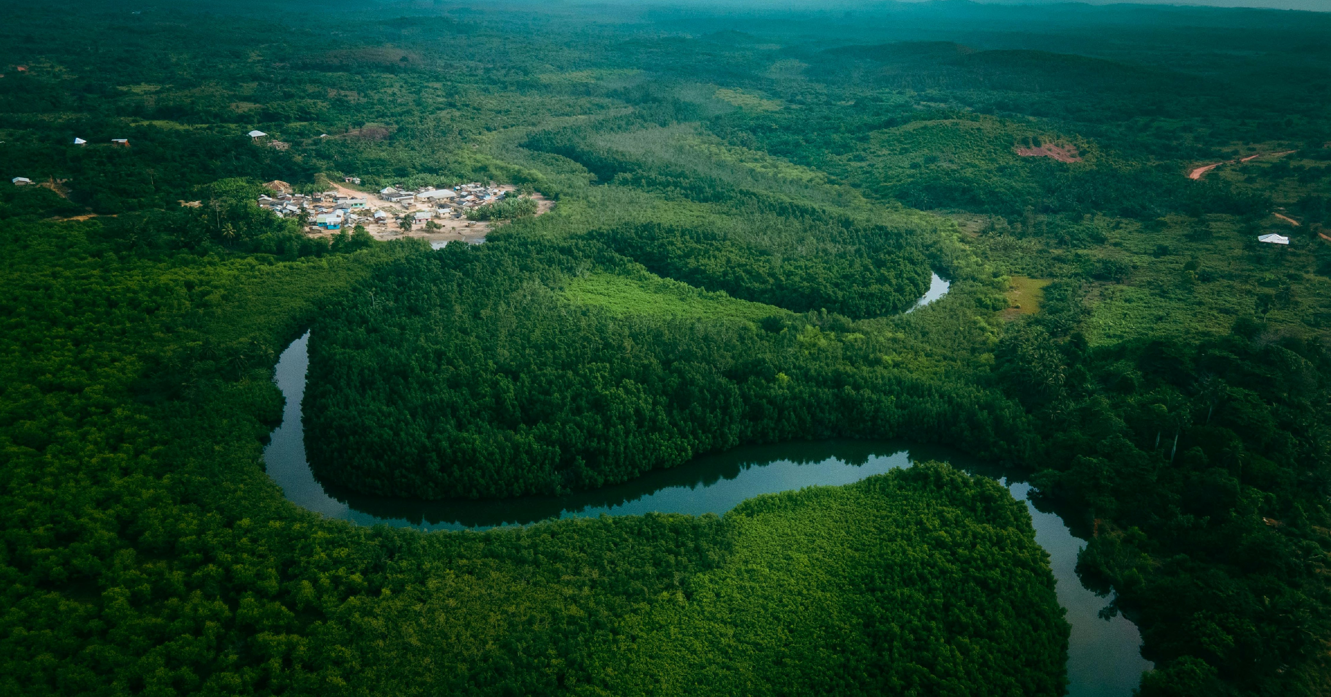 A river running through a lush green forest