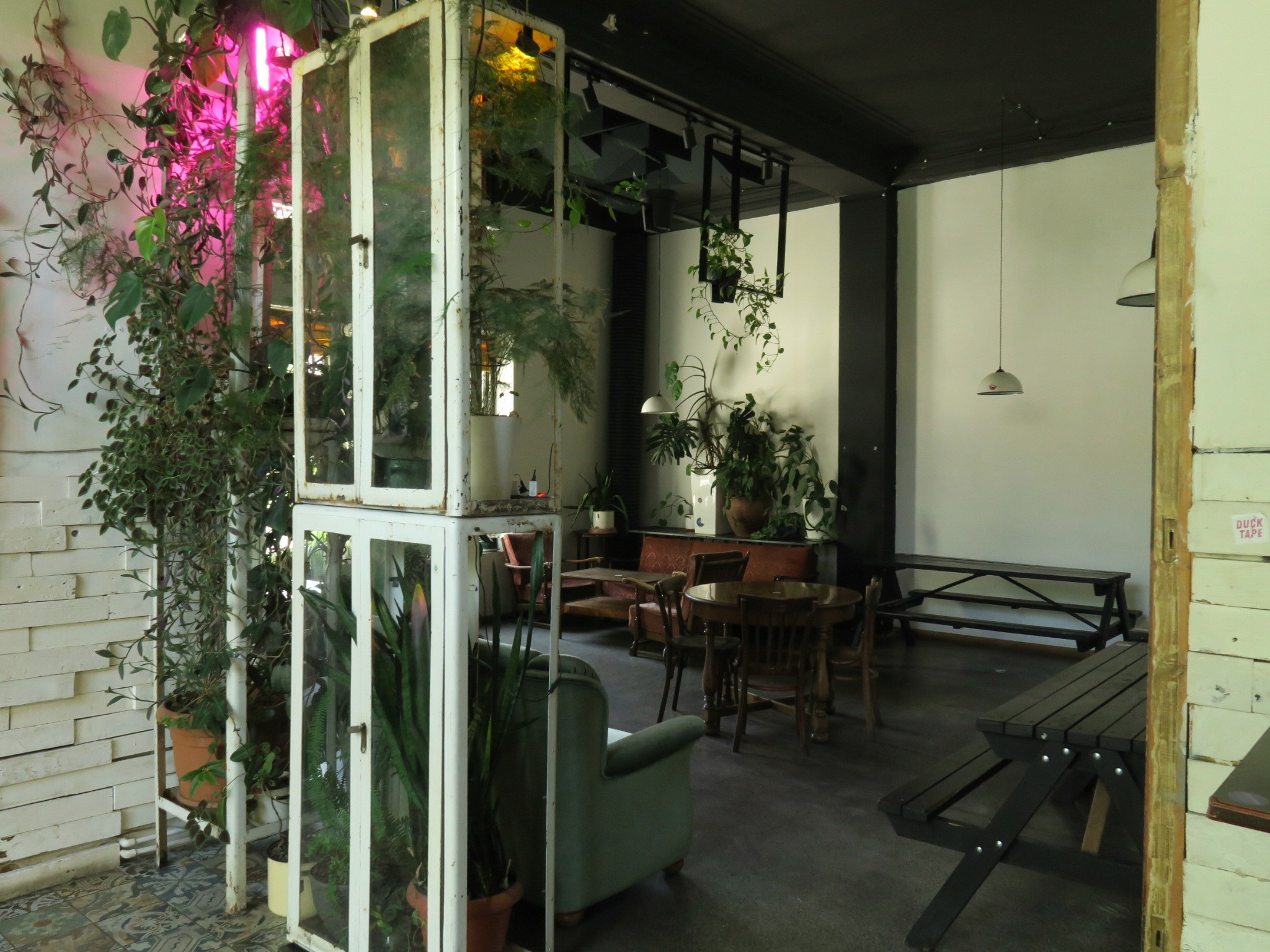 Dedaena Bar live performance