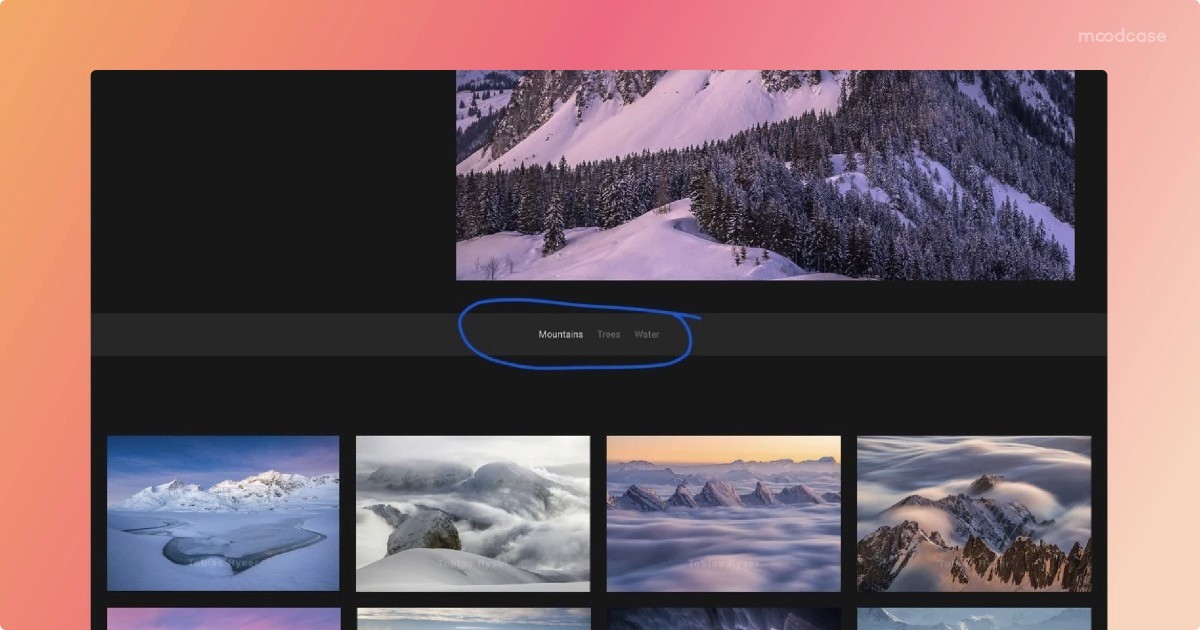 Mountain photography with tags and thumbnails in an organized digital gallery.