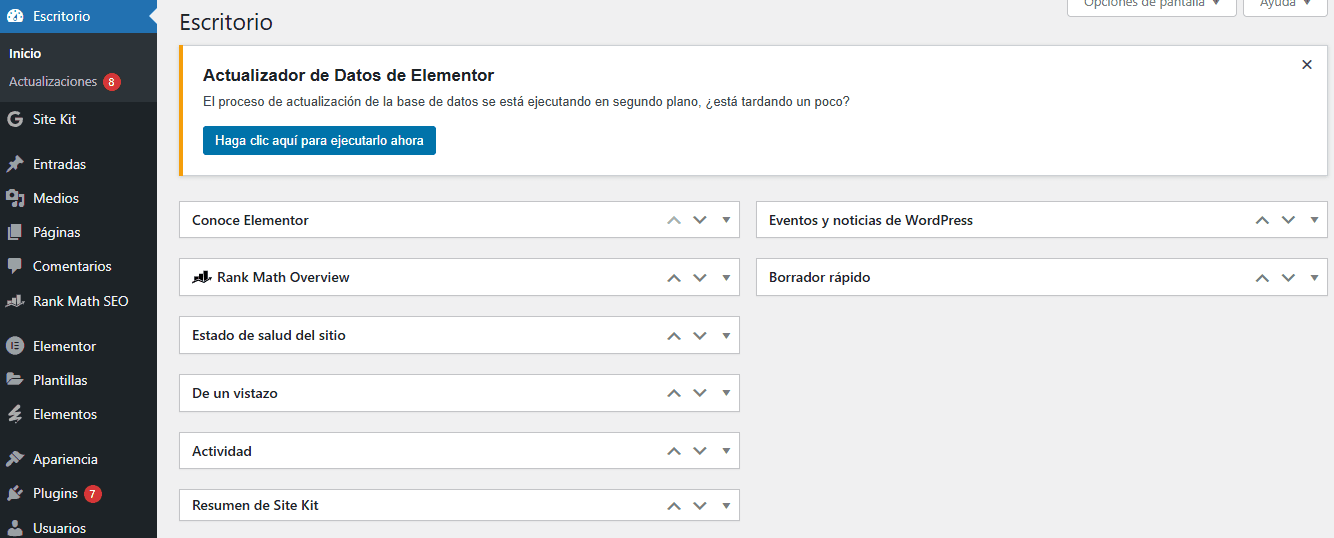 Accede al Panel de WordPress: