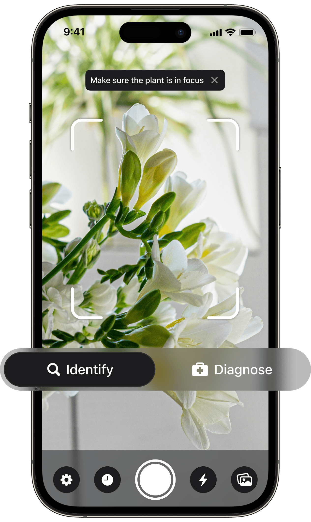 Plant recognition app