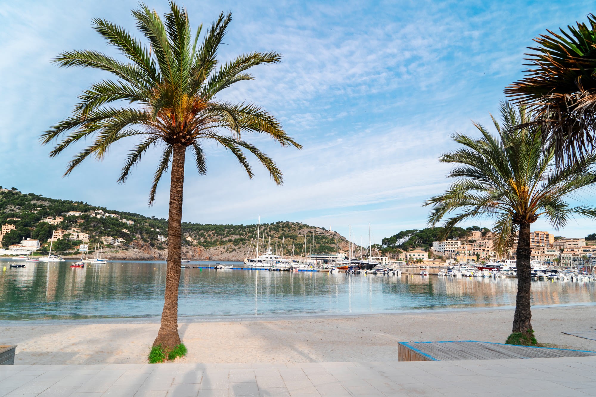 El paseo del Puerto de Sóller con sus palmeras y las barcas al fondo