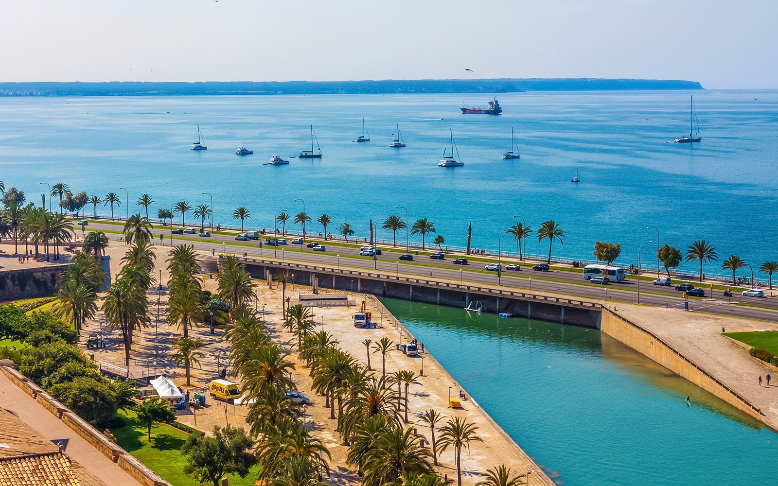 Vista del paseo marítimo de Palma de Mallorca con palmeras y barcos, cerca de las terrazas de la Catedral de Mallorca.