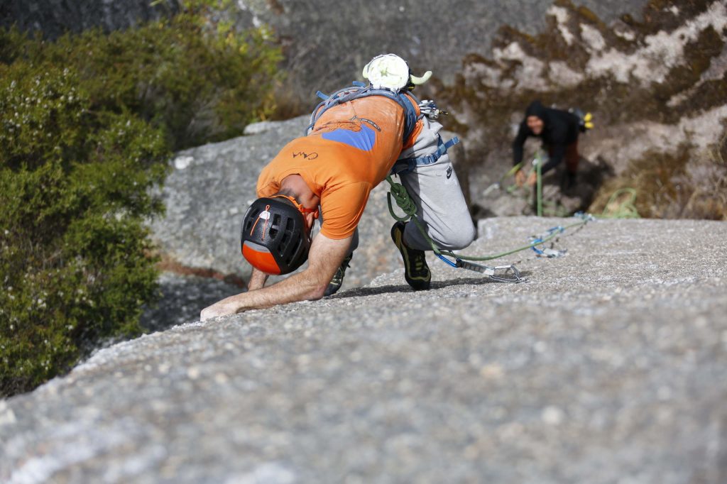Cardiac Arete