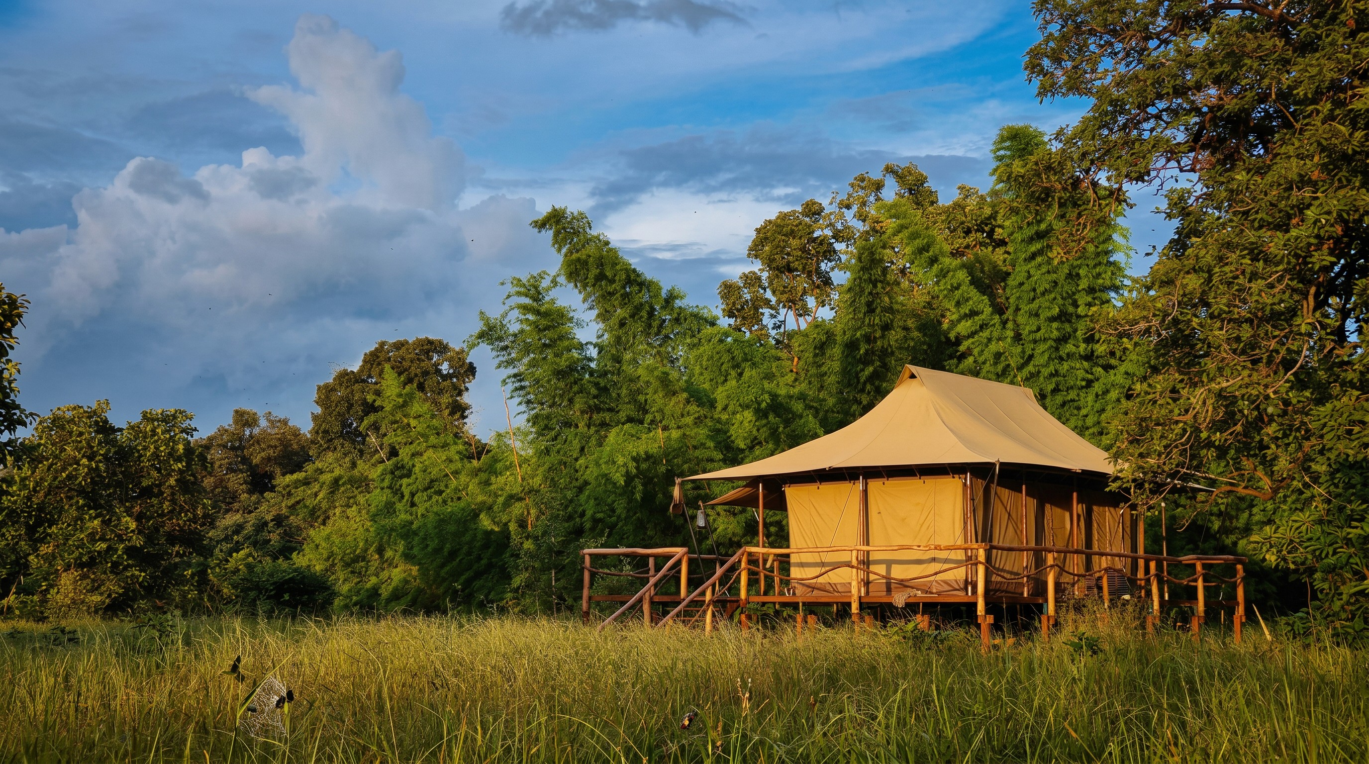 The Untamed Bandhavgarh