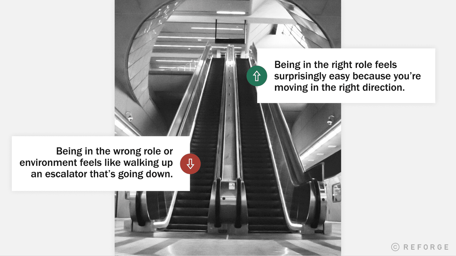 5 Ways To Boost Your Career Progression: The Escalator