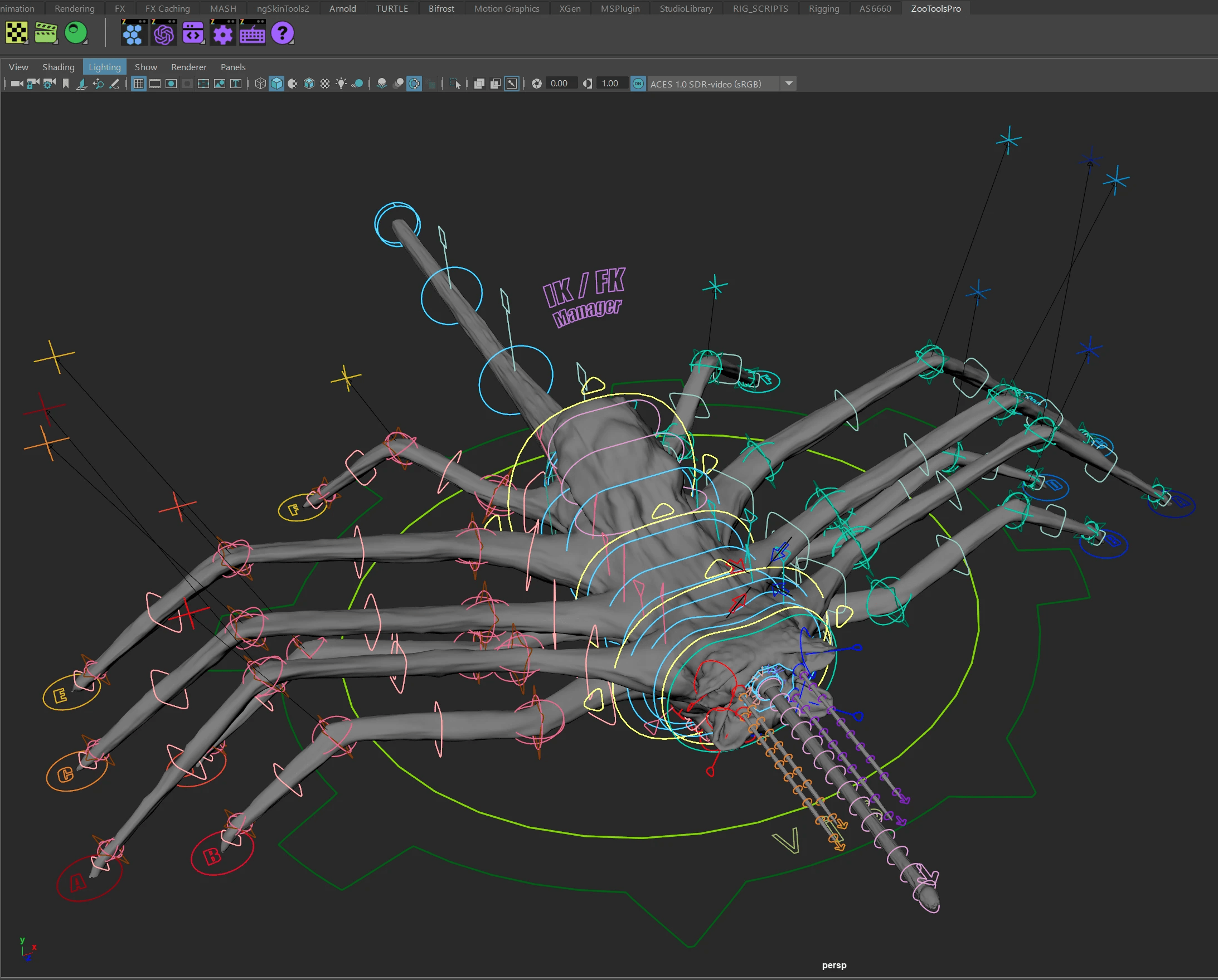 Testing & Optimization