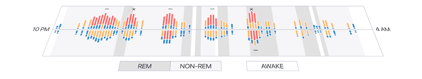 Actionable Anatomy Report
