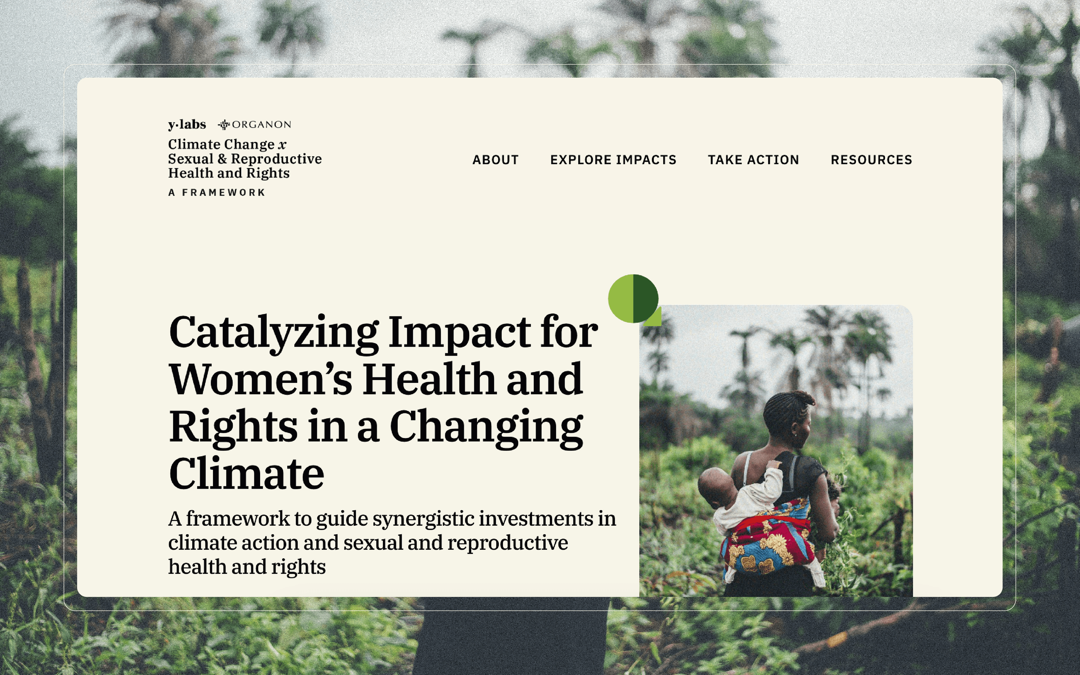 Framework Website Homepage