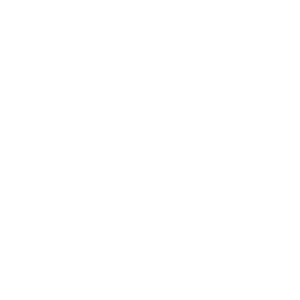 Louis VUITTON logo blanc