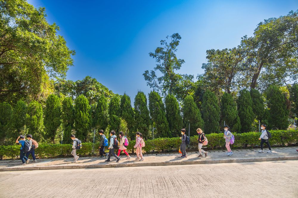 What is Waldorf Education?