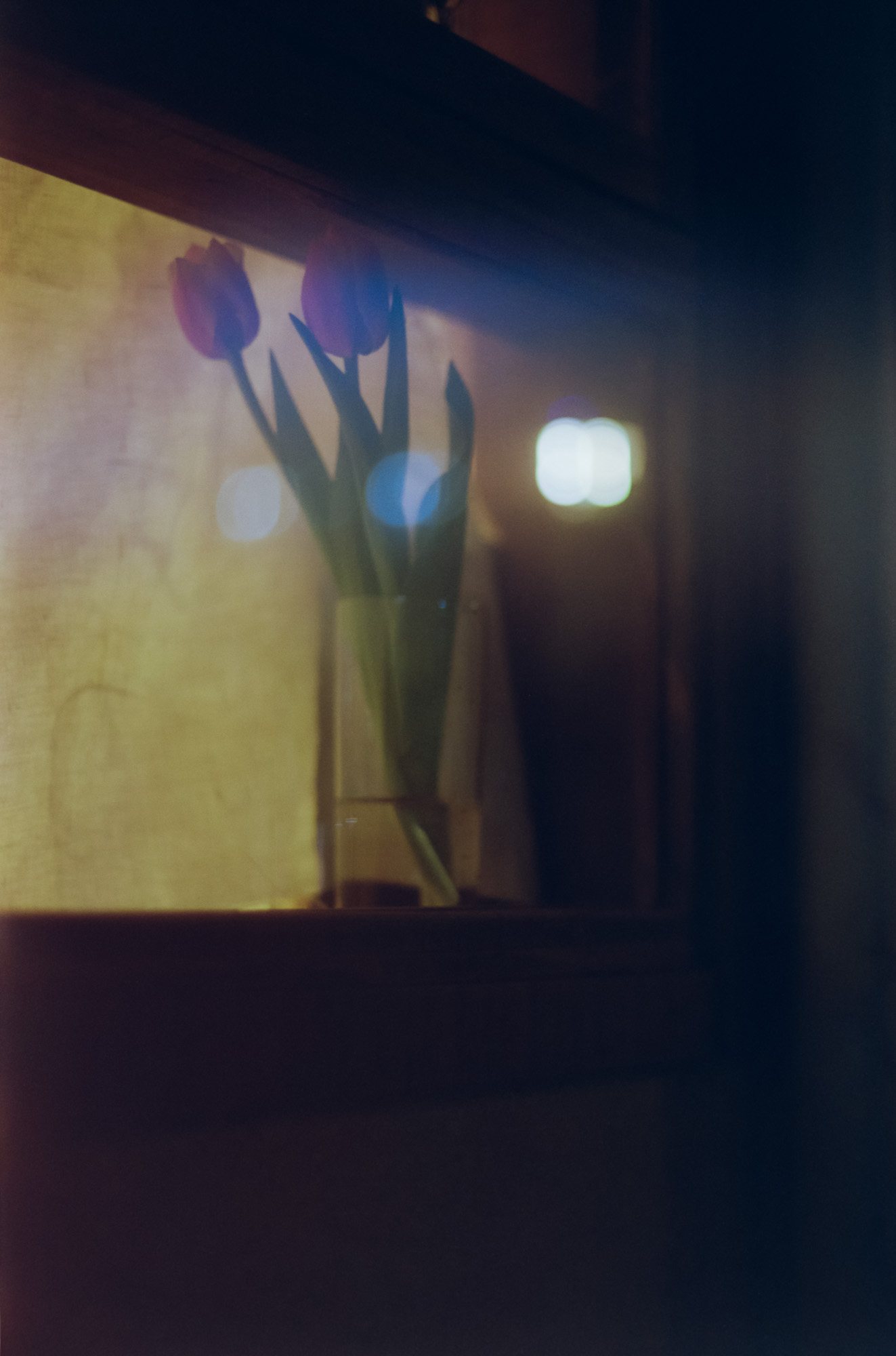 Taisei Matsumoto, archive random photograph 059
