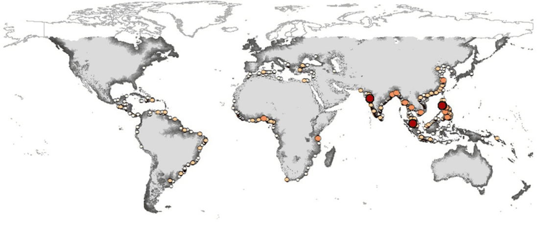 (B) A heat map showing the total emitted plastic into the ocean per country