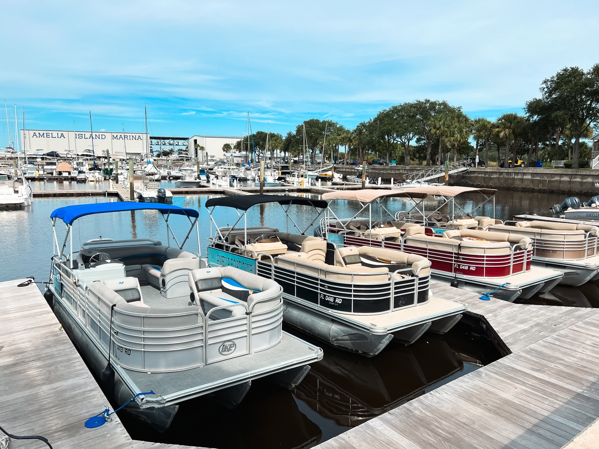 marina view with boats amelia island