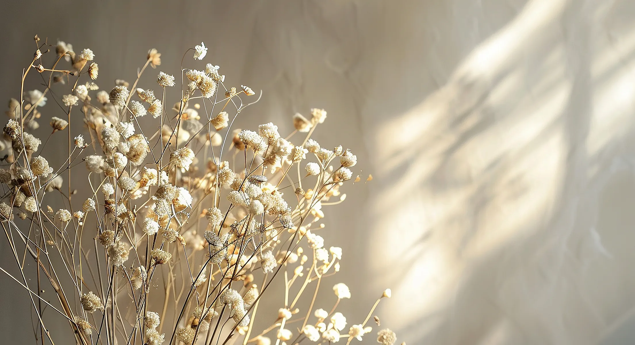 Hero neutral flower image