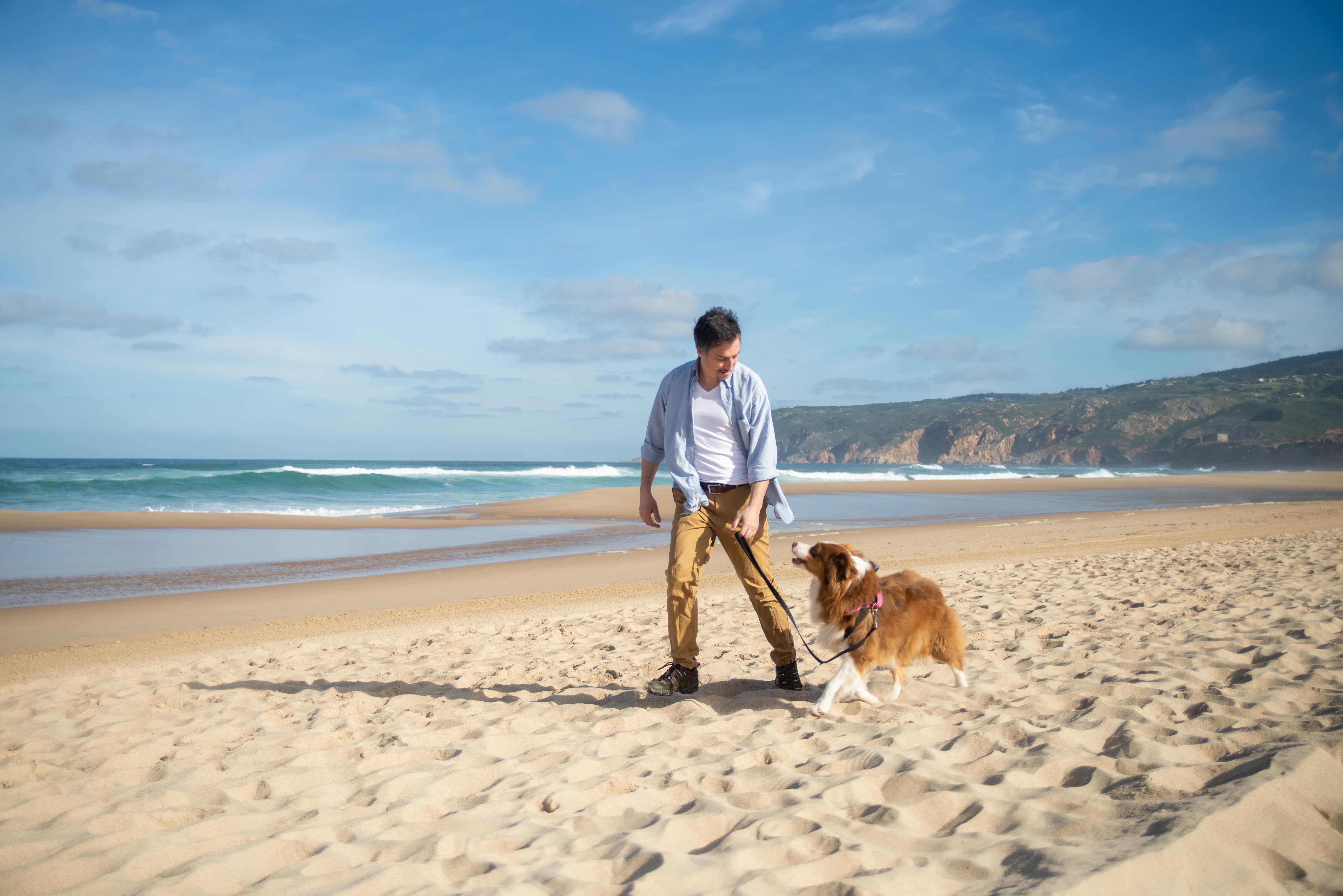 Man walking dog beach