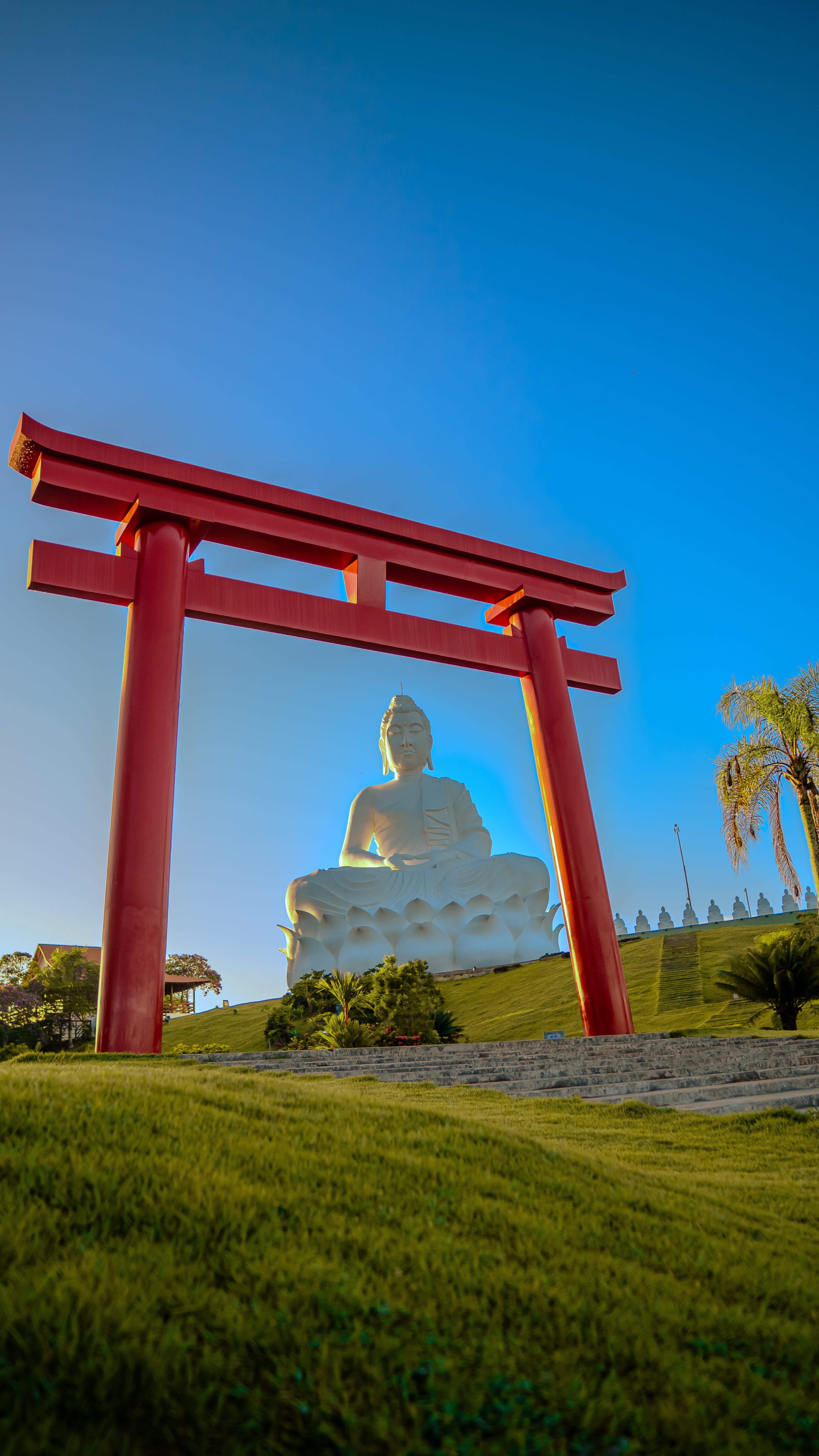 Coach explaining something to an athlete