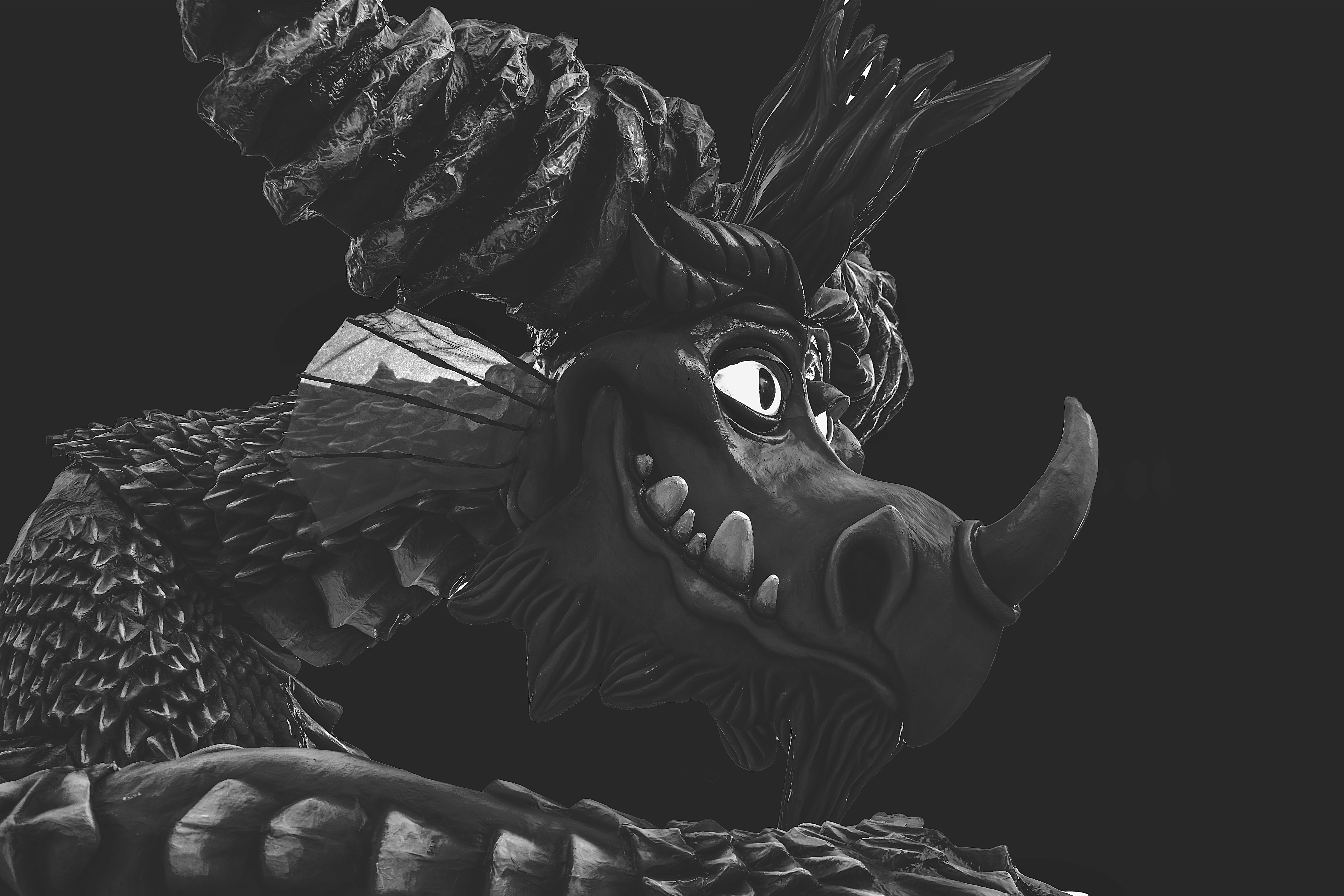 Black and white close up photoshoot with young woman