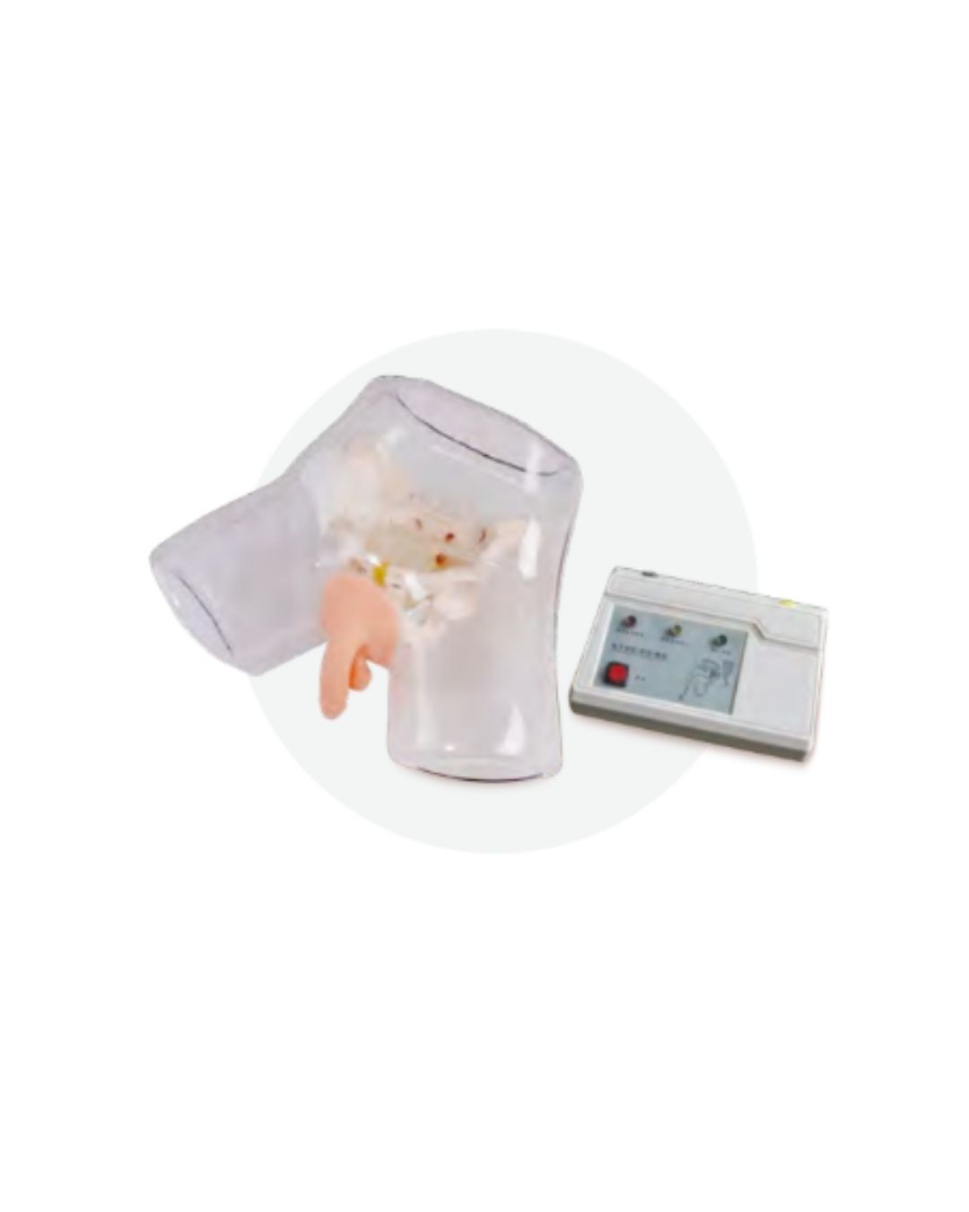 Electronic Transparent Male Catheterization Model