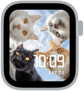 cat crew Apple Watch face preview 3 featuring stylized colors and artwork.