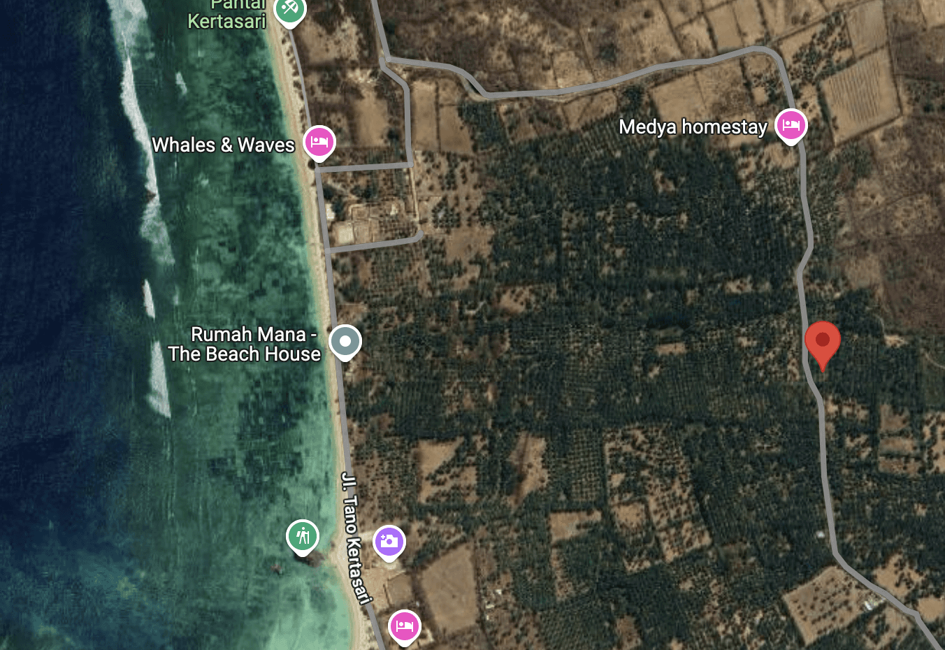 Map of Location of Plot 10, Western Sumbawa
