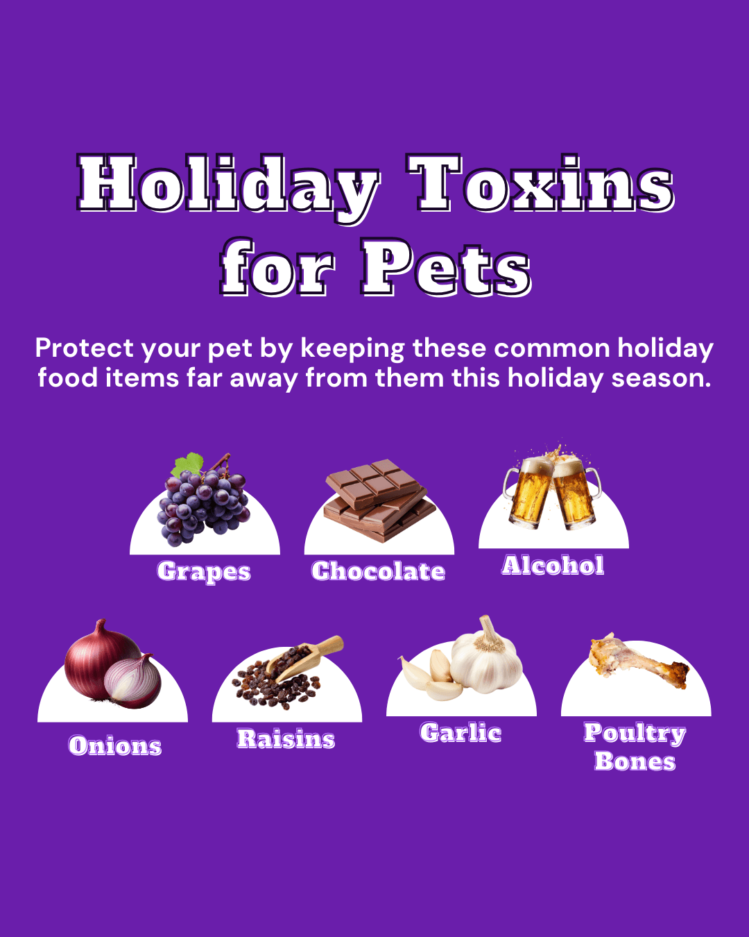 Holiday toxins for pets