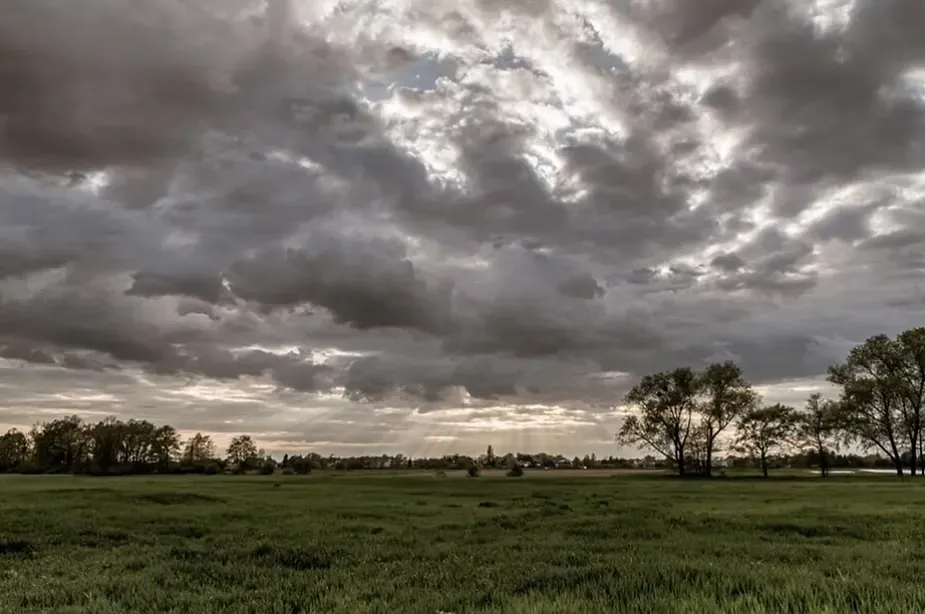 Climate Conditions.webp