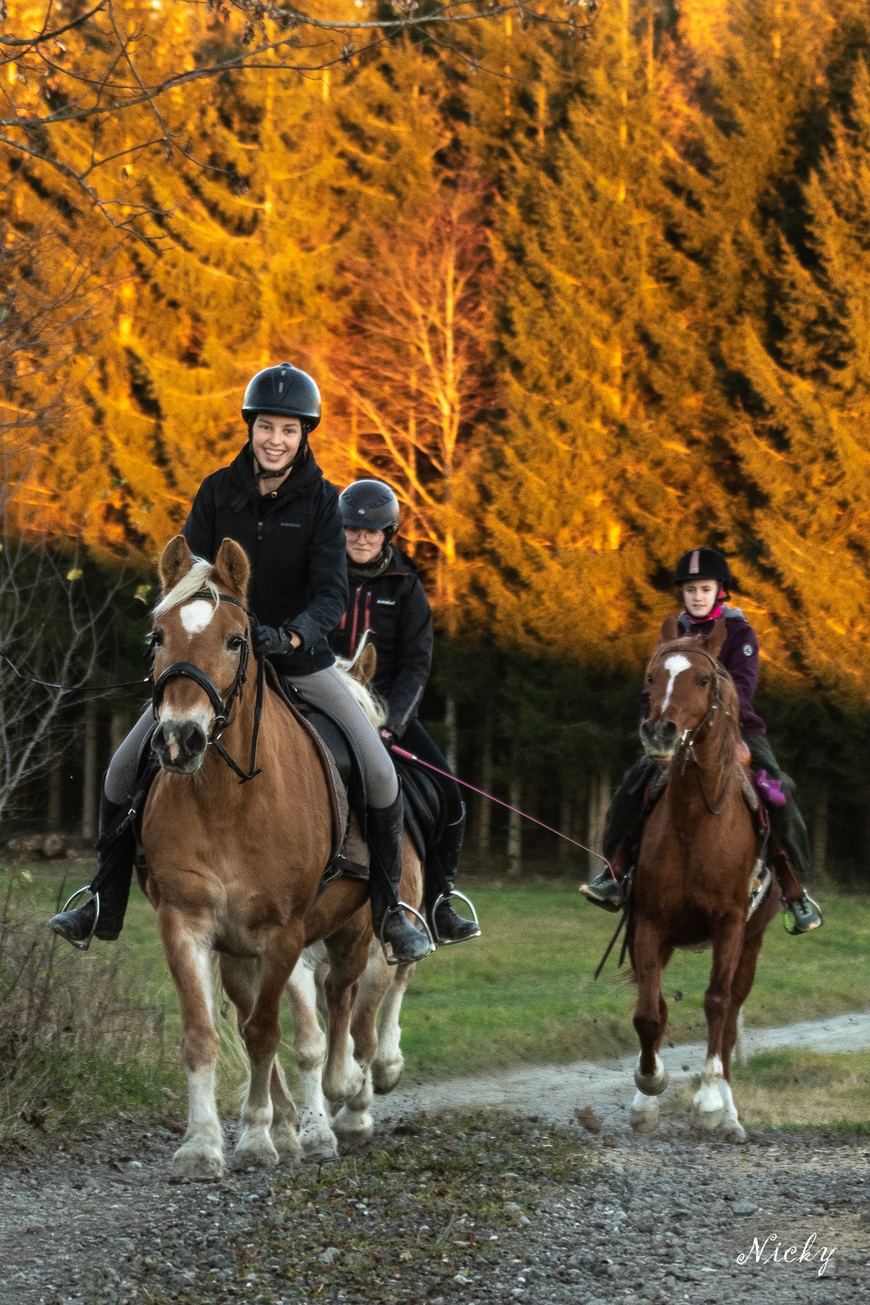A smiling young man with crossed arms, wearing a plaid shirt and white t-shirt, poses against a dark background.