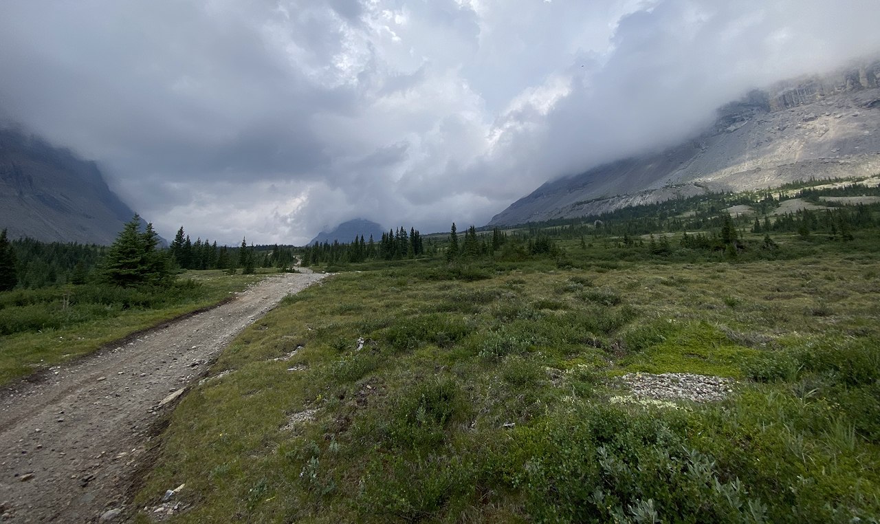 Refurbished Cardinal River Headwaters Trail through alpine meadow with sensitive riparian vegetation and mountain peaks