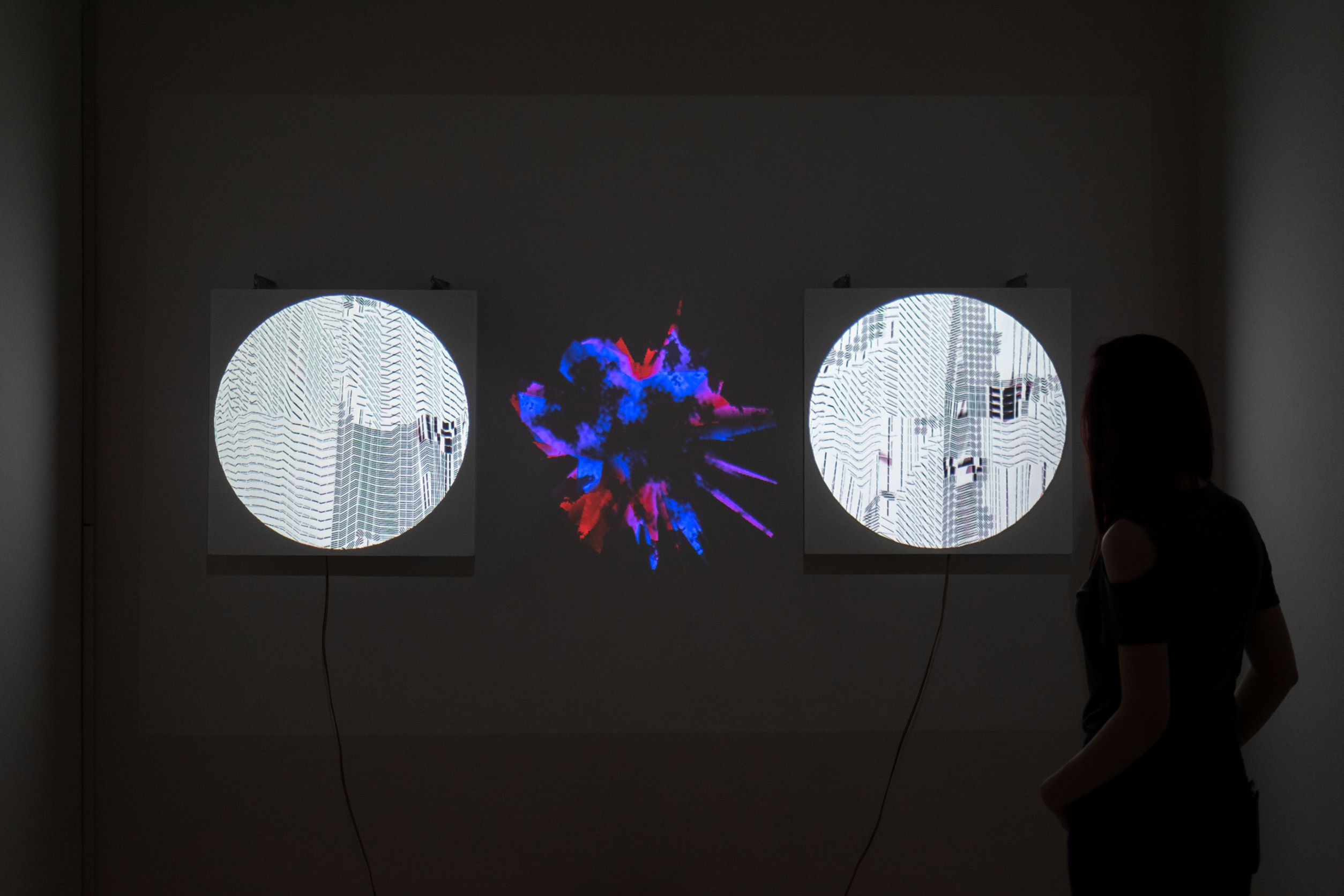 The Dog Who Swallow Millions Exhibition Photo 1