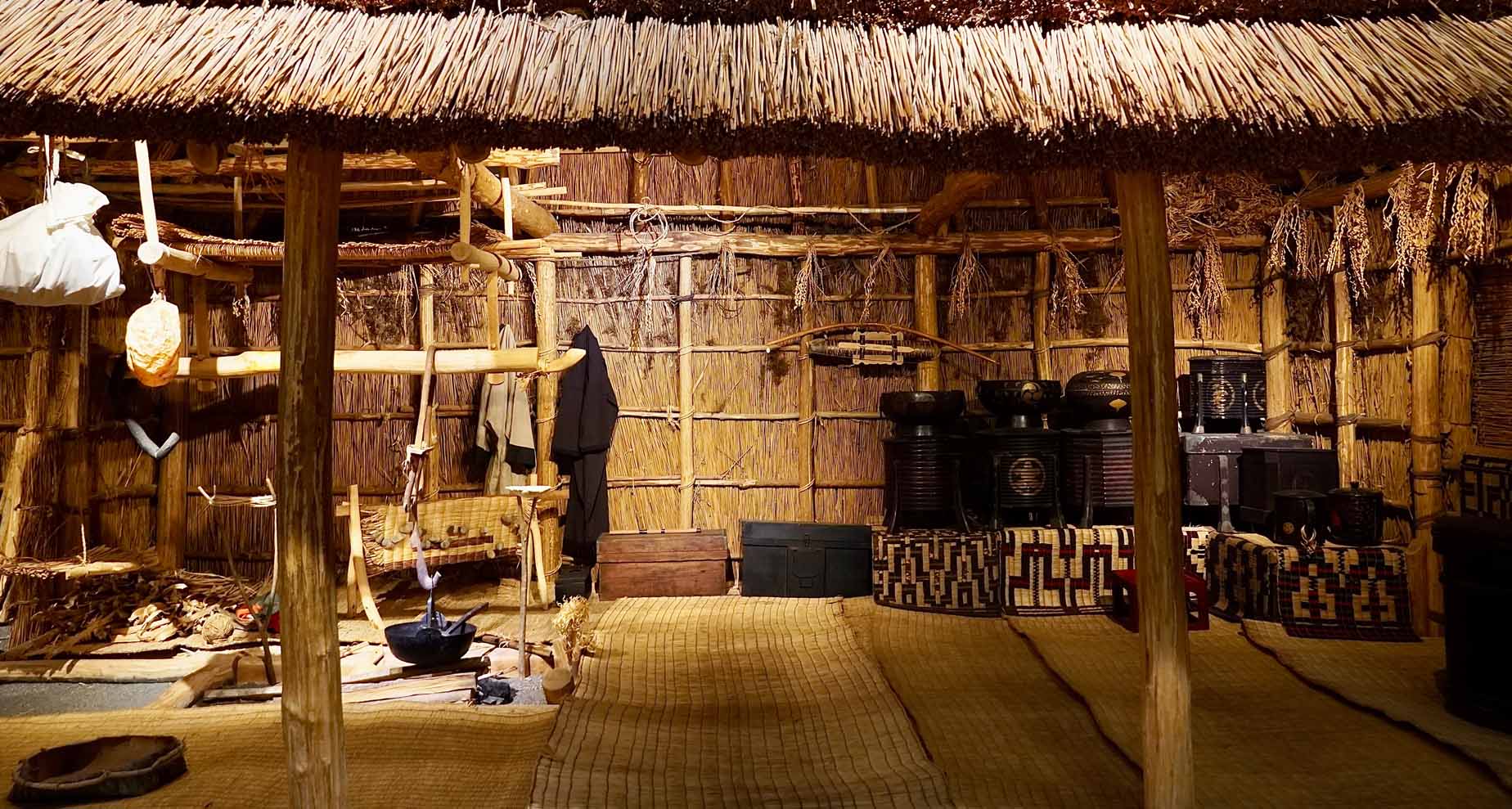 The Rise of Indigenous Rights Movements in Japan