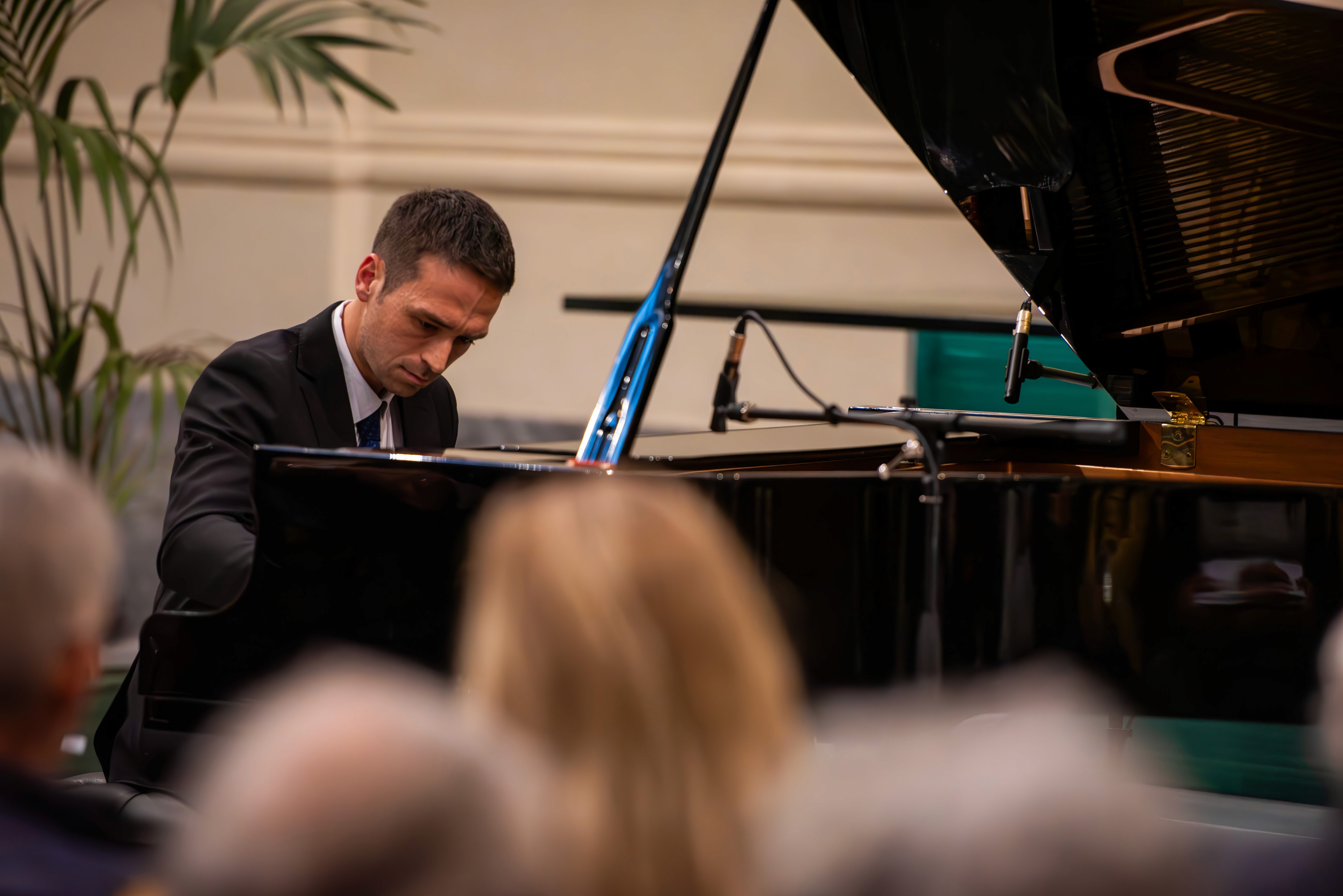 Velvet Steps Project