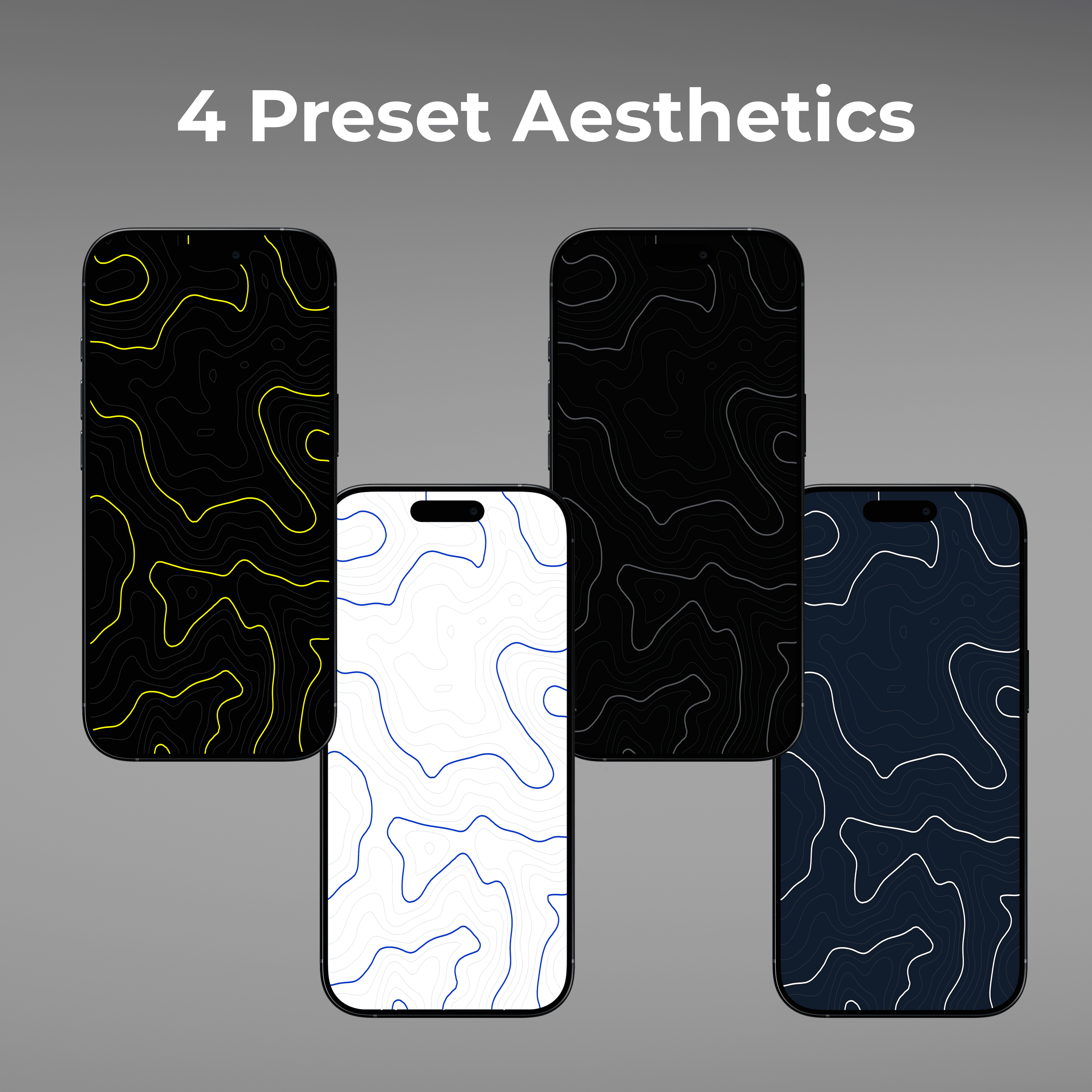4 preset aesthetics for topography wallpaper generator