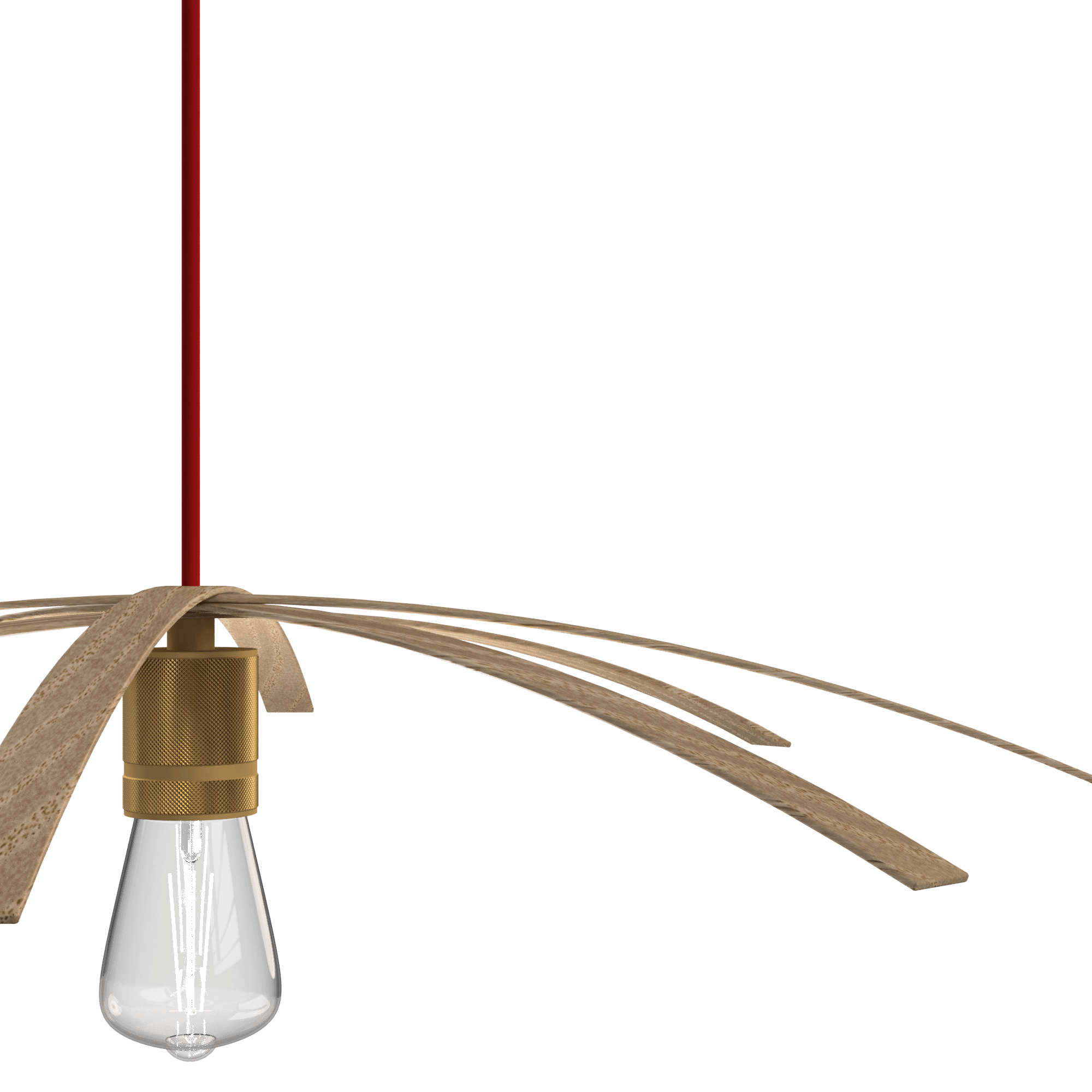Pawook product design