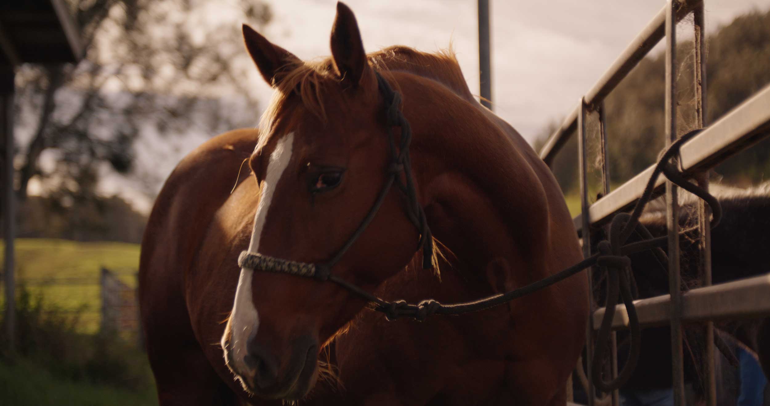 Streetside billboard with flyposters of the Batch.Works brand and illustrations