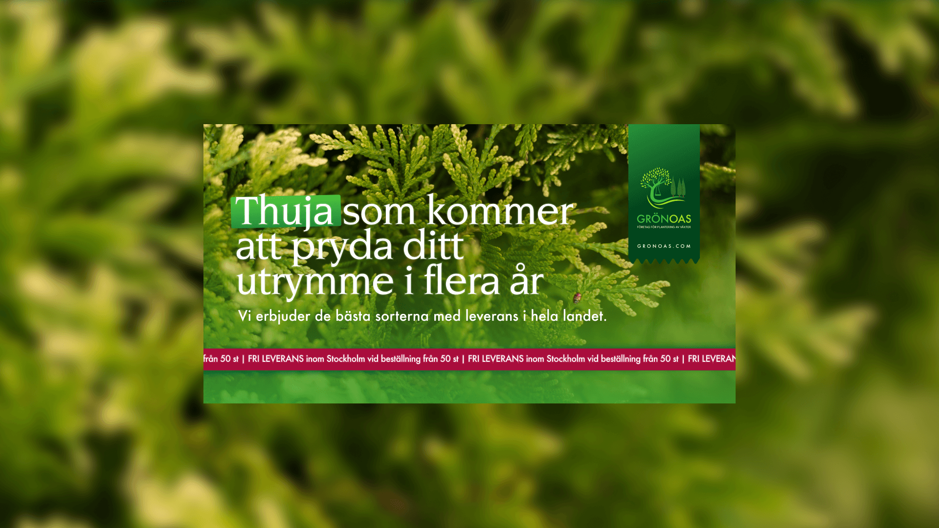 Large Project Gallery Image #3