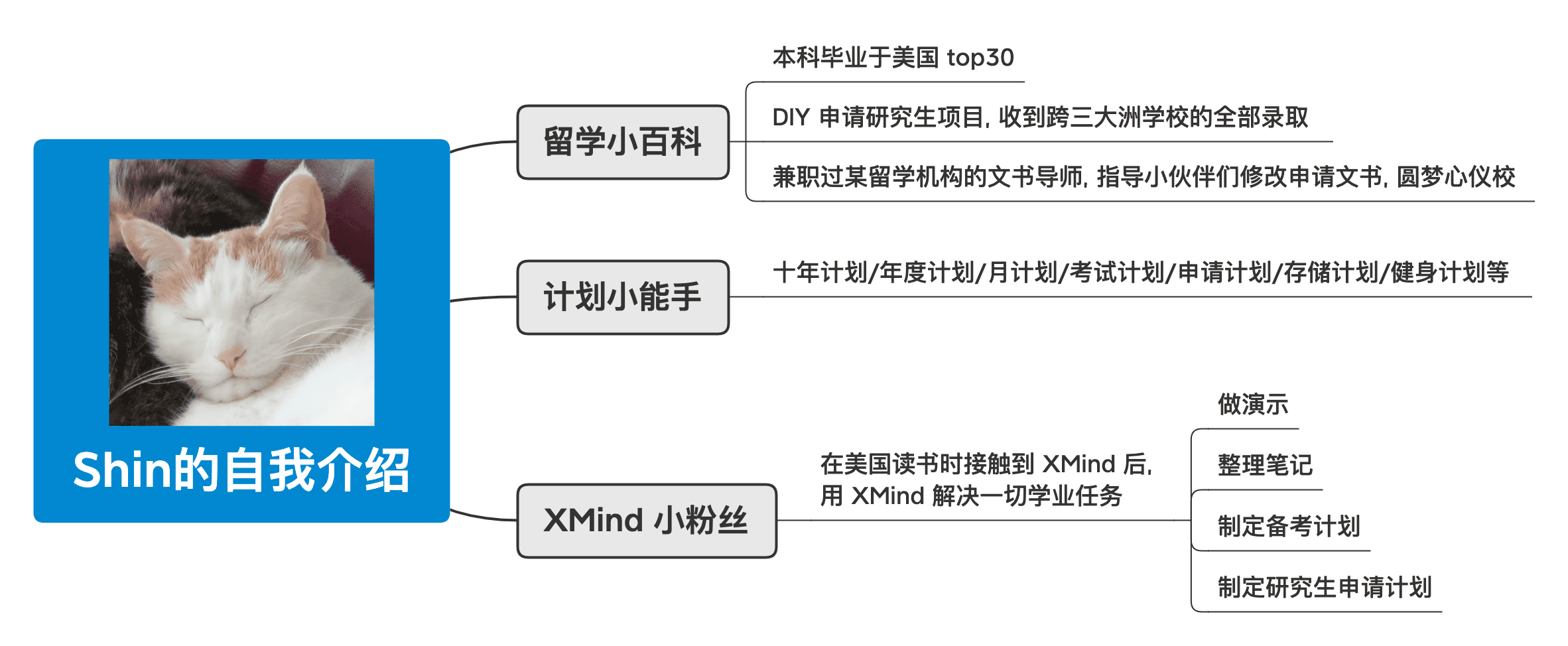 思维导图计划介绍图