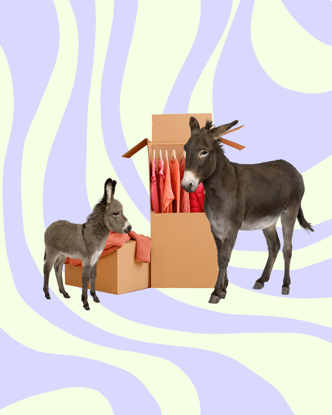 by-thebox storage vancouver