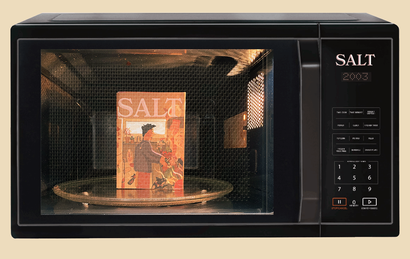 a microwave with a zine inside it called Salt