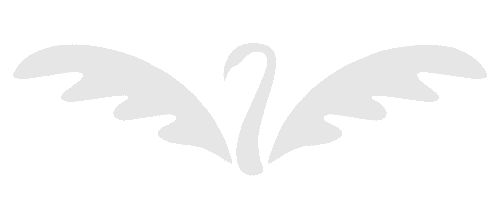 Big Logo Company