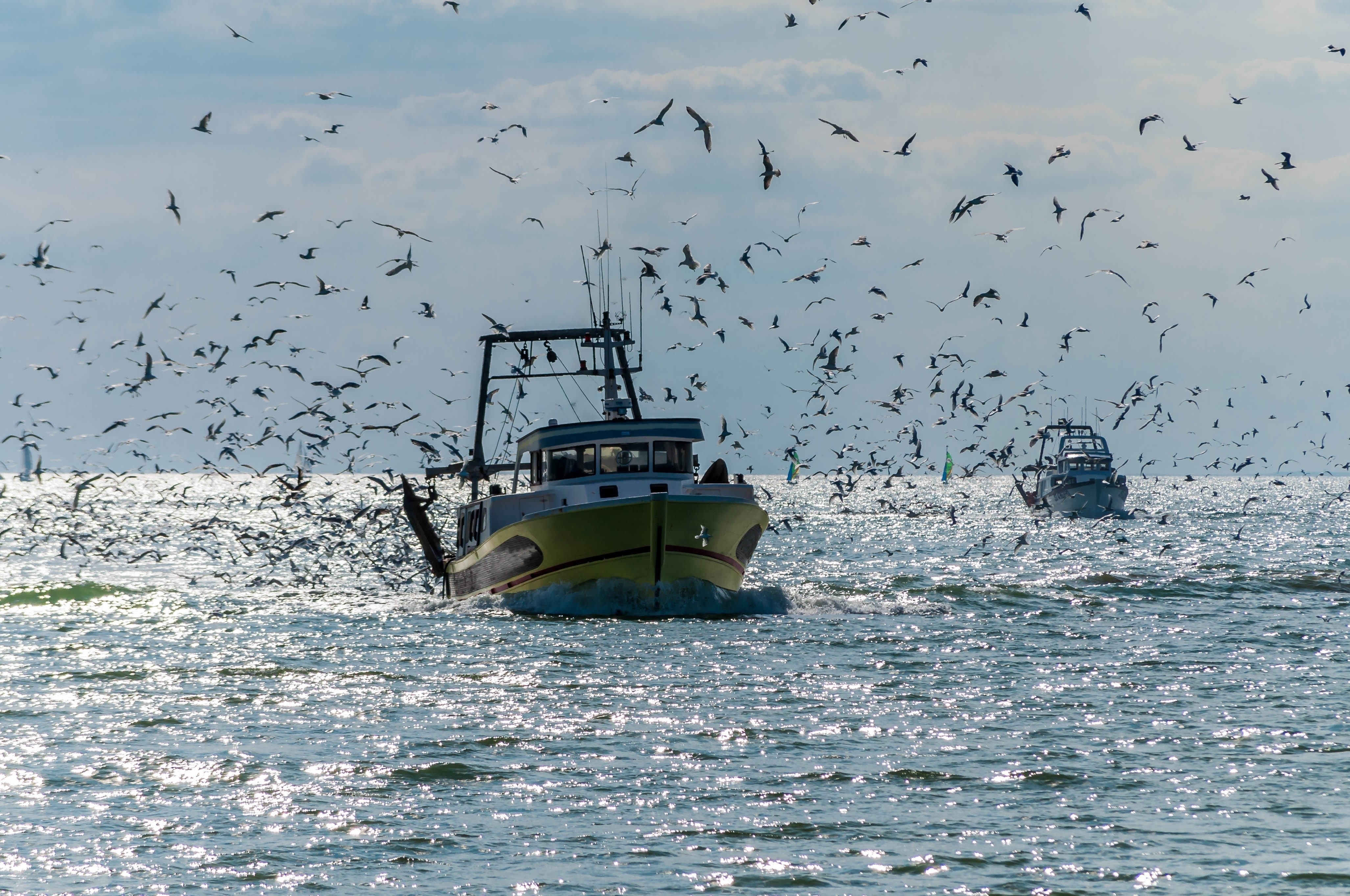 Un bateau de pêche à Sète