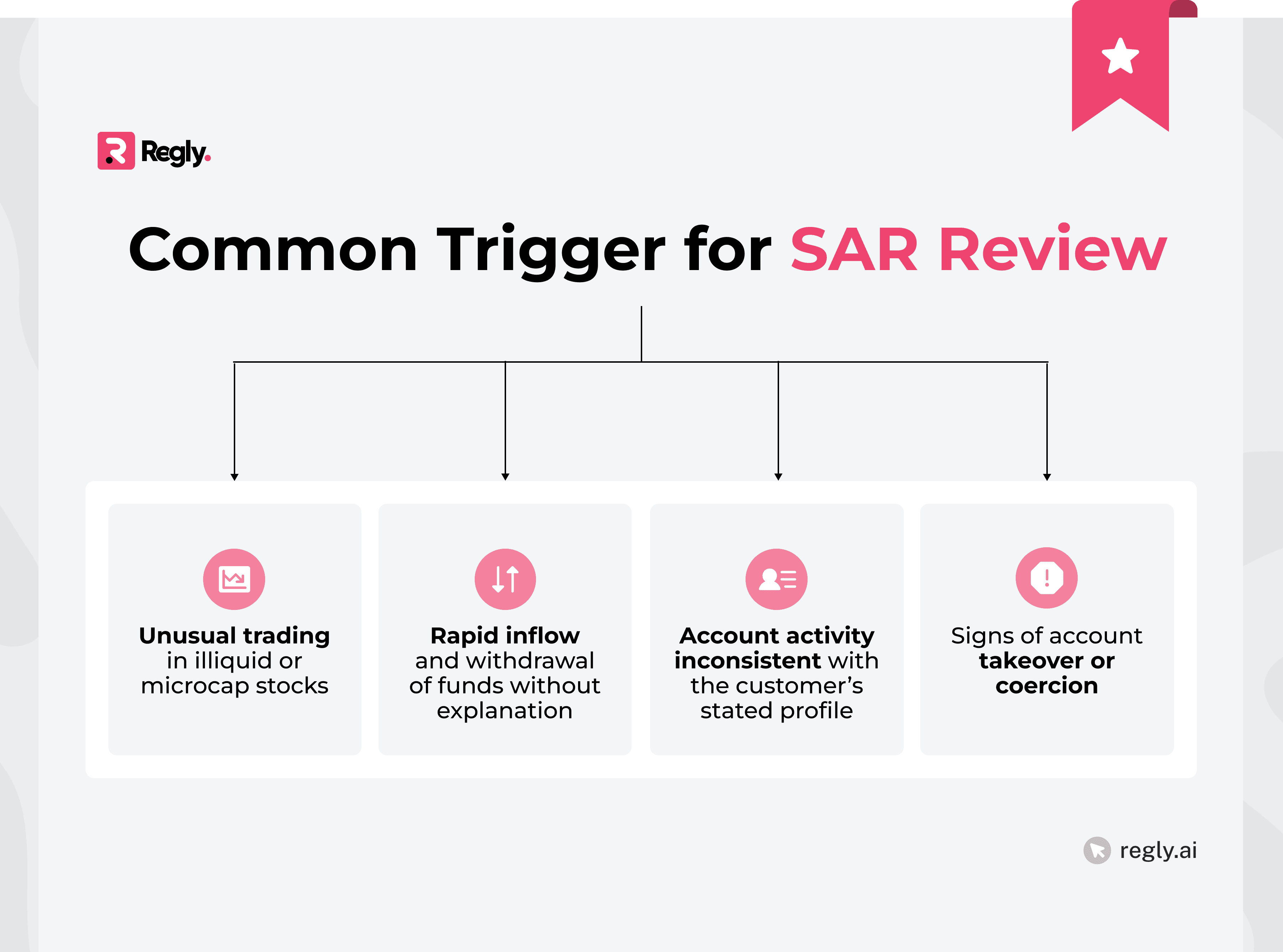 Suspicious Activity Monitoring Review