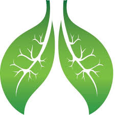 Lung Foundation