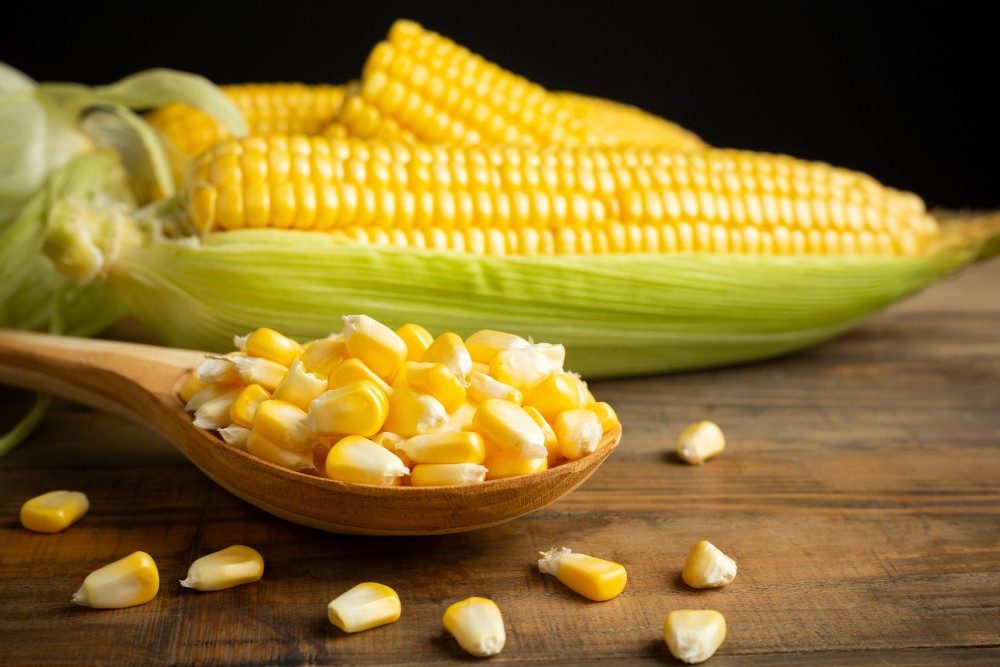 Maize Seed Usage, Satisfaction, and Future Expectations Among Farmers in Bangladesh
